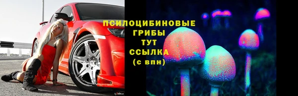 PSILOCYBIN Волосово
