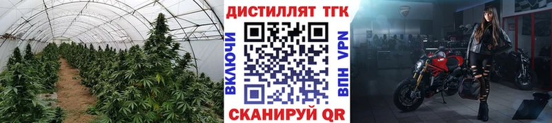 ТГК Wax  Нелидово 
